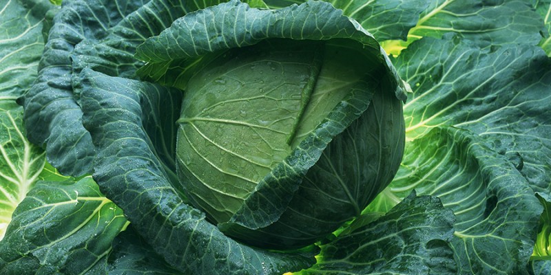 Depositphotos_1378572_original