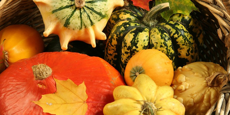 colorful pumpkin