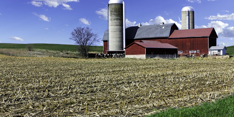 American Country Farm