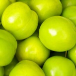 dio turpis, ac molestie leo.