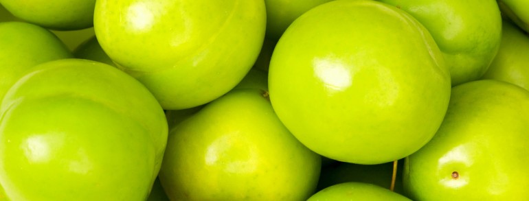 dio turpis, ac molestie leo.