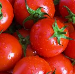 Nullam mattis odio turpis.