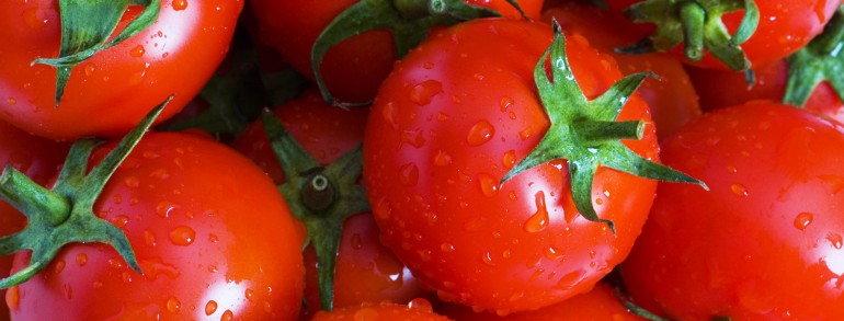 Nullam mattis odio turpis.