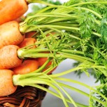 ac molestie leo convallis eu orci.