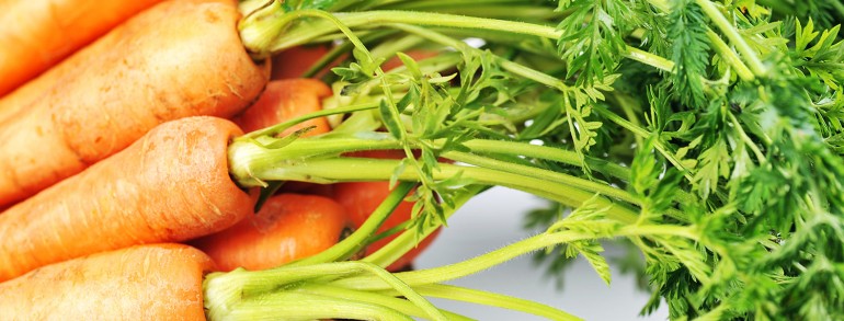 ac molestie leo convallis eu orci.