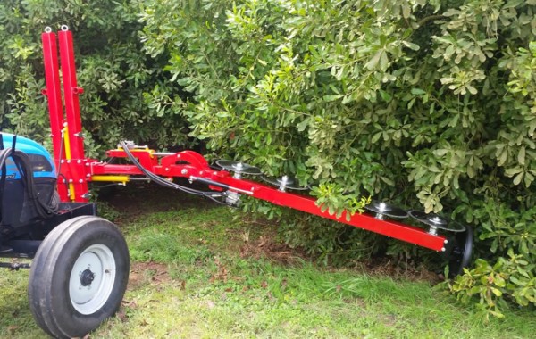 BMV Pruning Machine