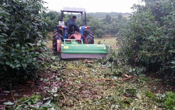 Forest Agri Mulchers (FACMA)