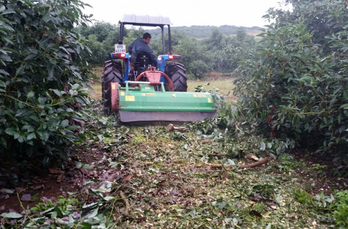 Forest Agri Mulchers (FACMA)